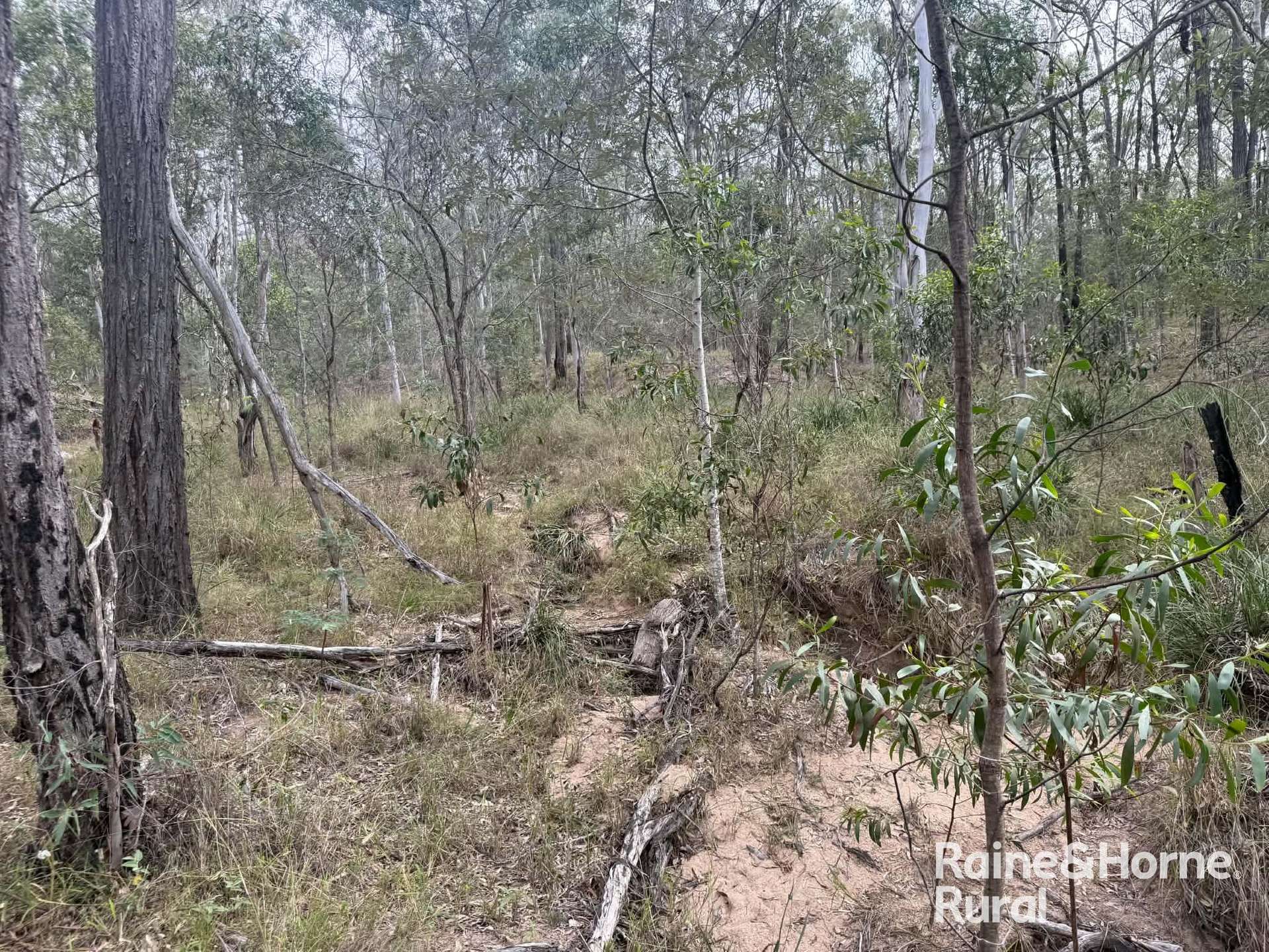 Lot 12 Curlew Rd, Ballogie For Sale by Farmbuy.com - image 2