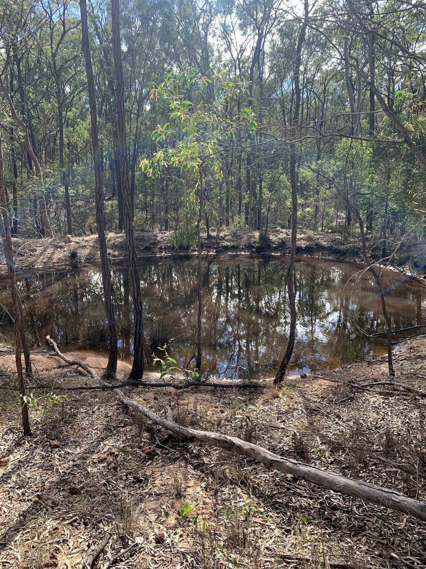 Lot 12 Curlew Rd, Ballogie For Sale by Farmbuy.com - image 4