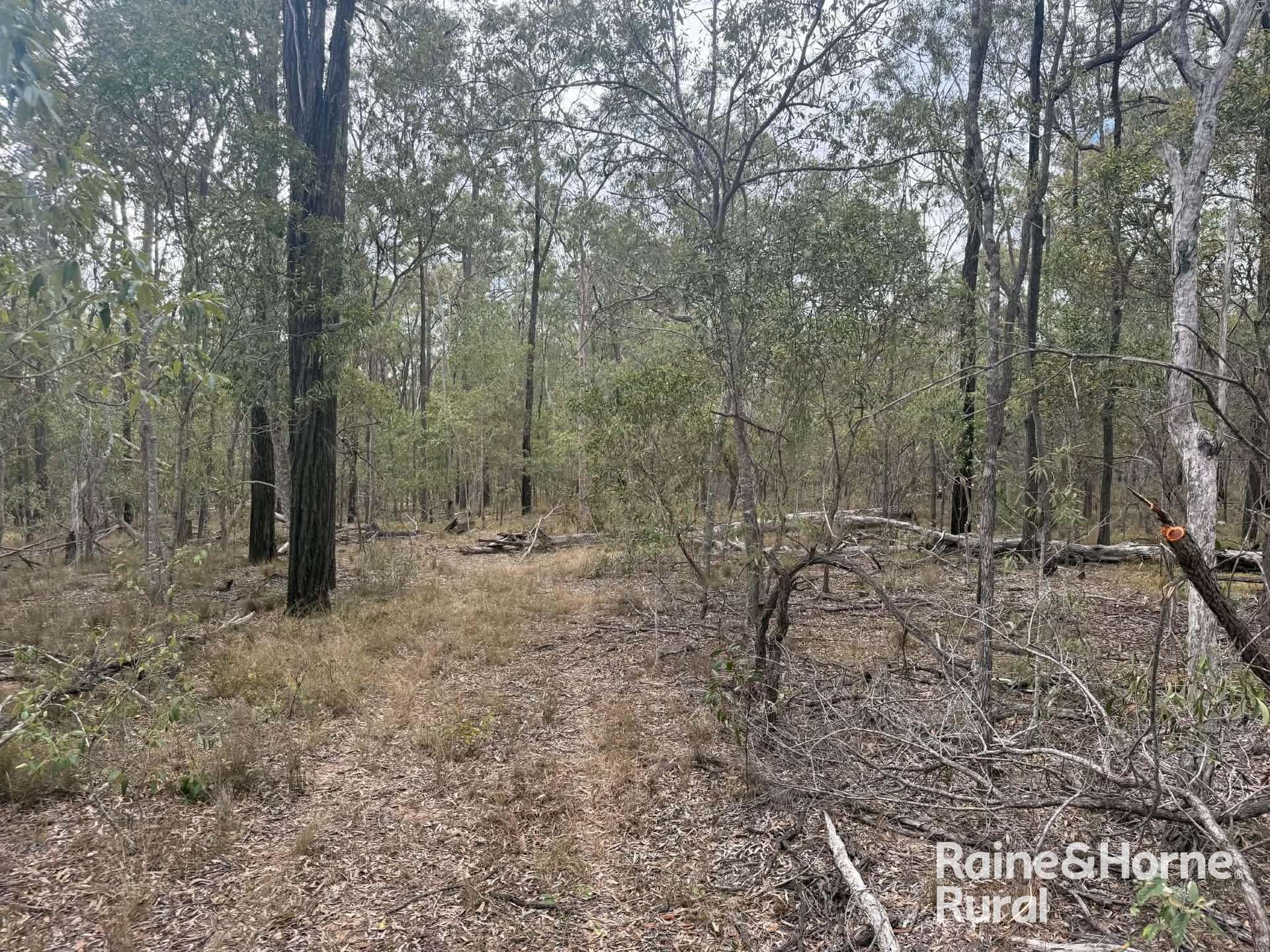 Lot 12 Curlew Rd, Ballogie For Sale by Farmbuy.com - image 14
