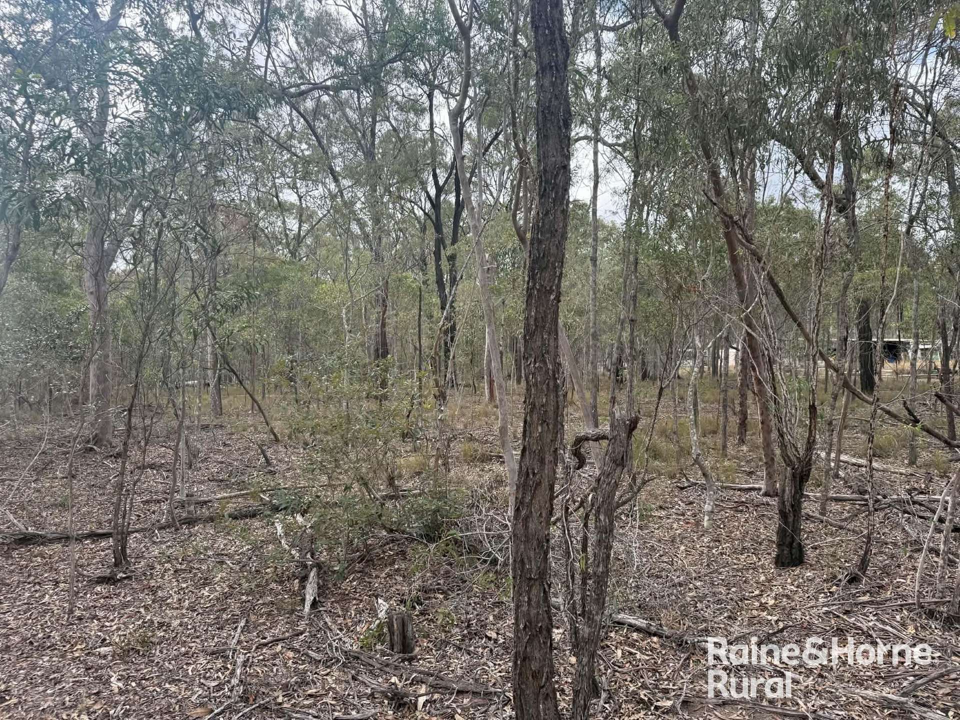 Lot 12 Curlew Rd, Ballogie For Sale by Farmbuy.com - image 10