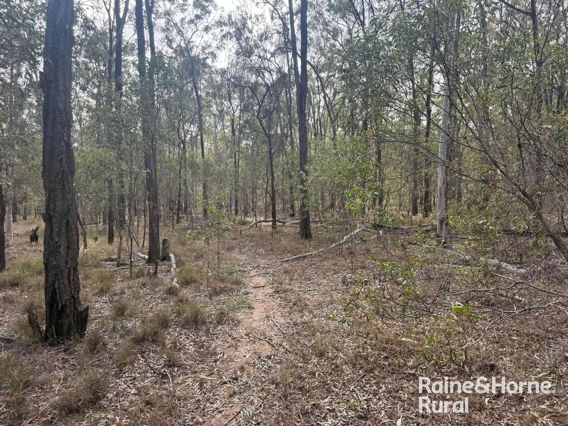 Lot 12 Curlew Rd, Ballogie For Sale by Farmbuy.com - image 3