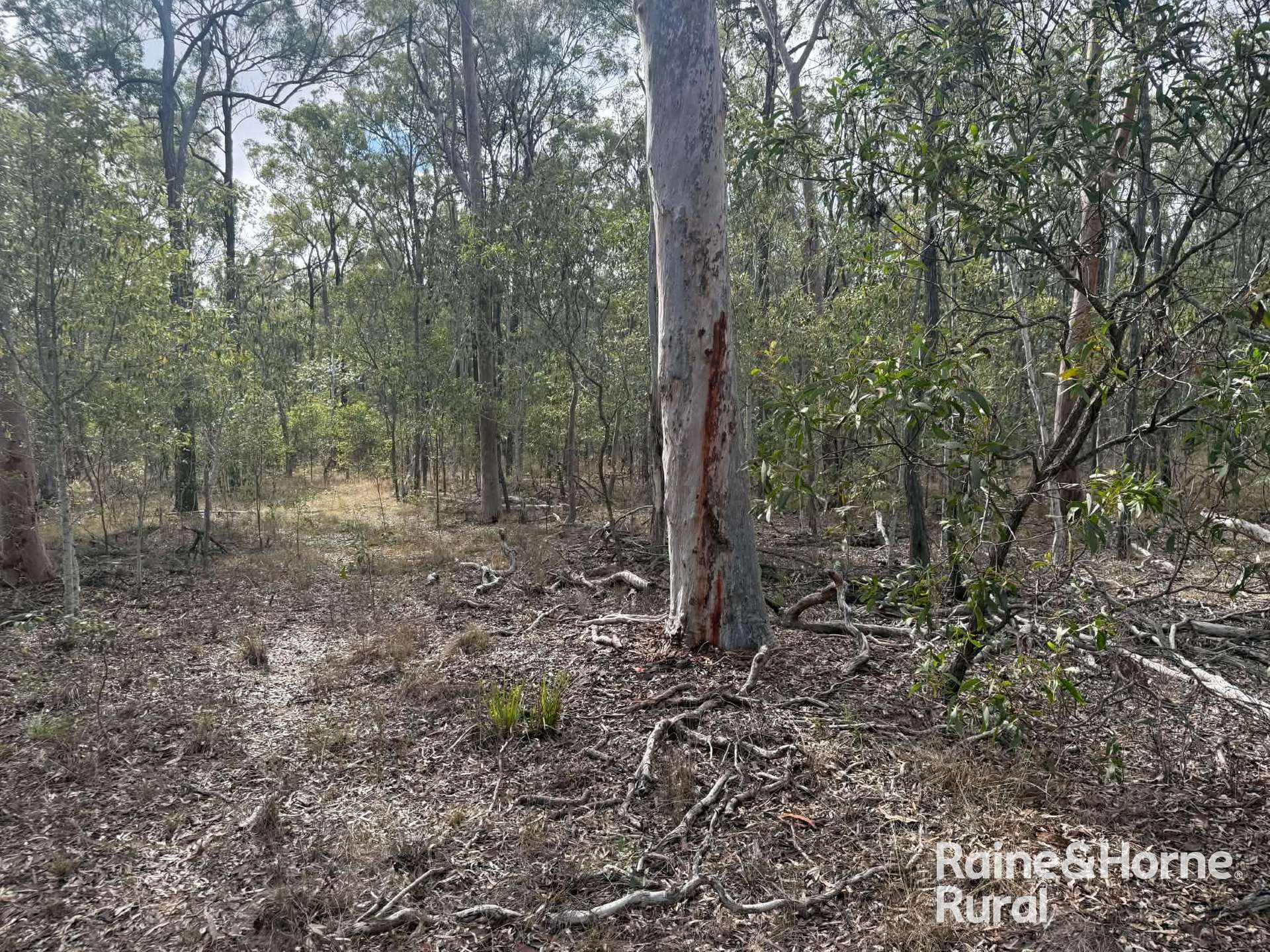 Lot 12 Curlew Rd, Ballogie For Sale by Farmbuy.com - image 10