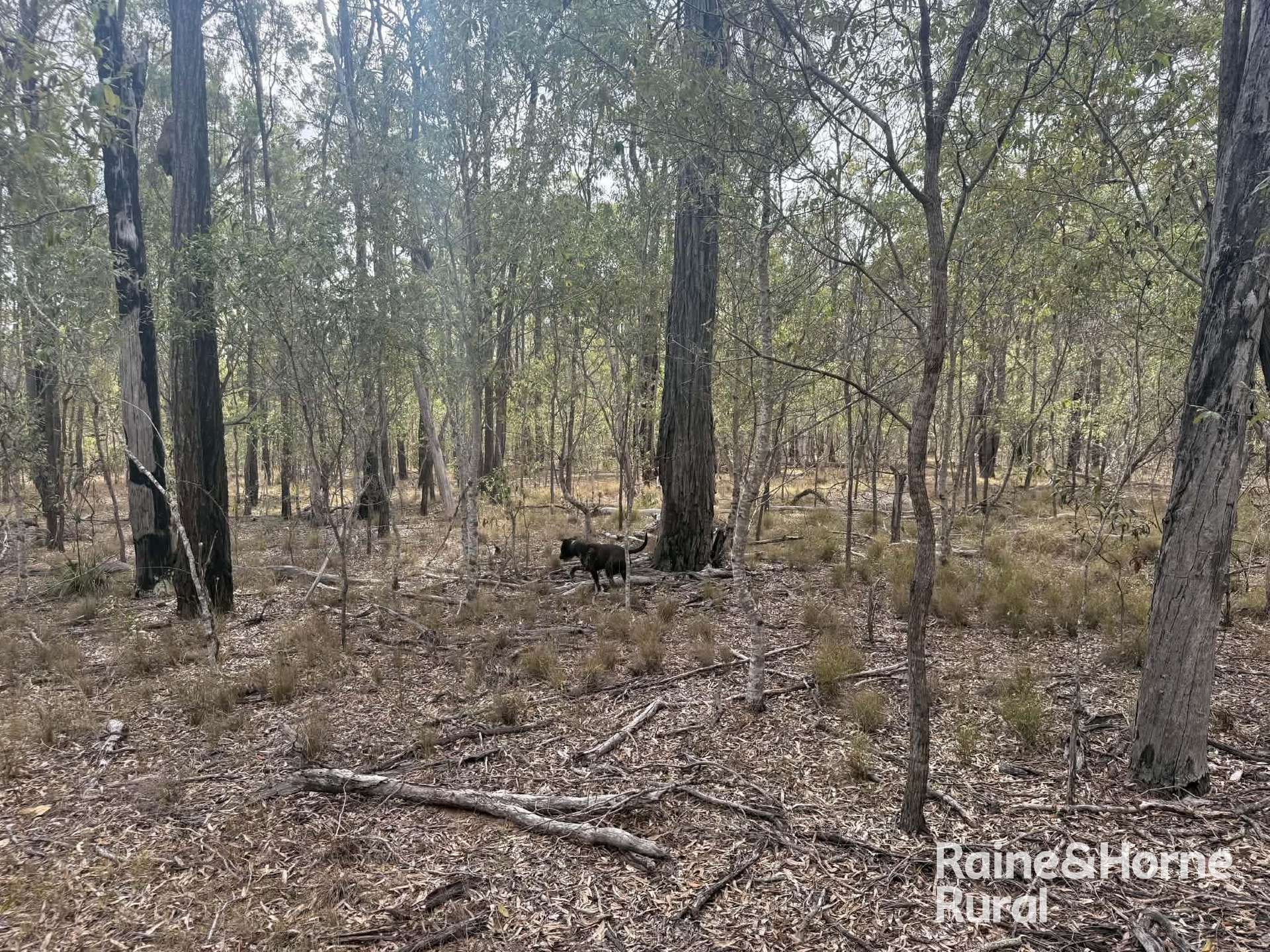Lot 12 Curlew Rd, Ballogie For Sale by Farmbuy.com - image 6