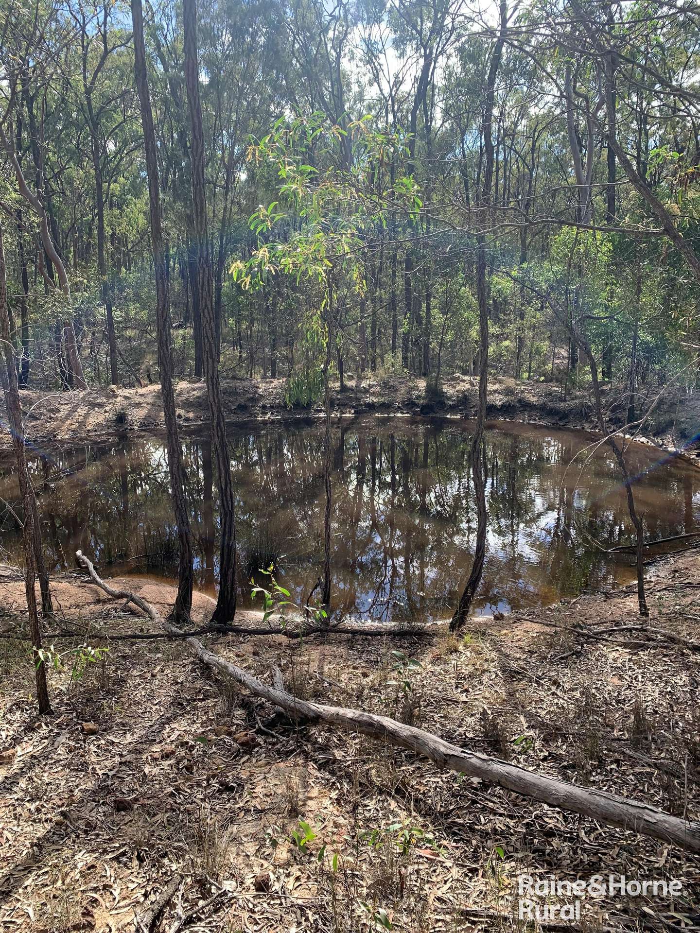 Lot 12 Curlew Rd, Ballogie For Sale by Farmbuy.com - image 17