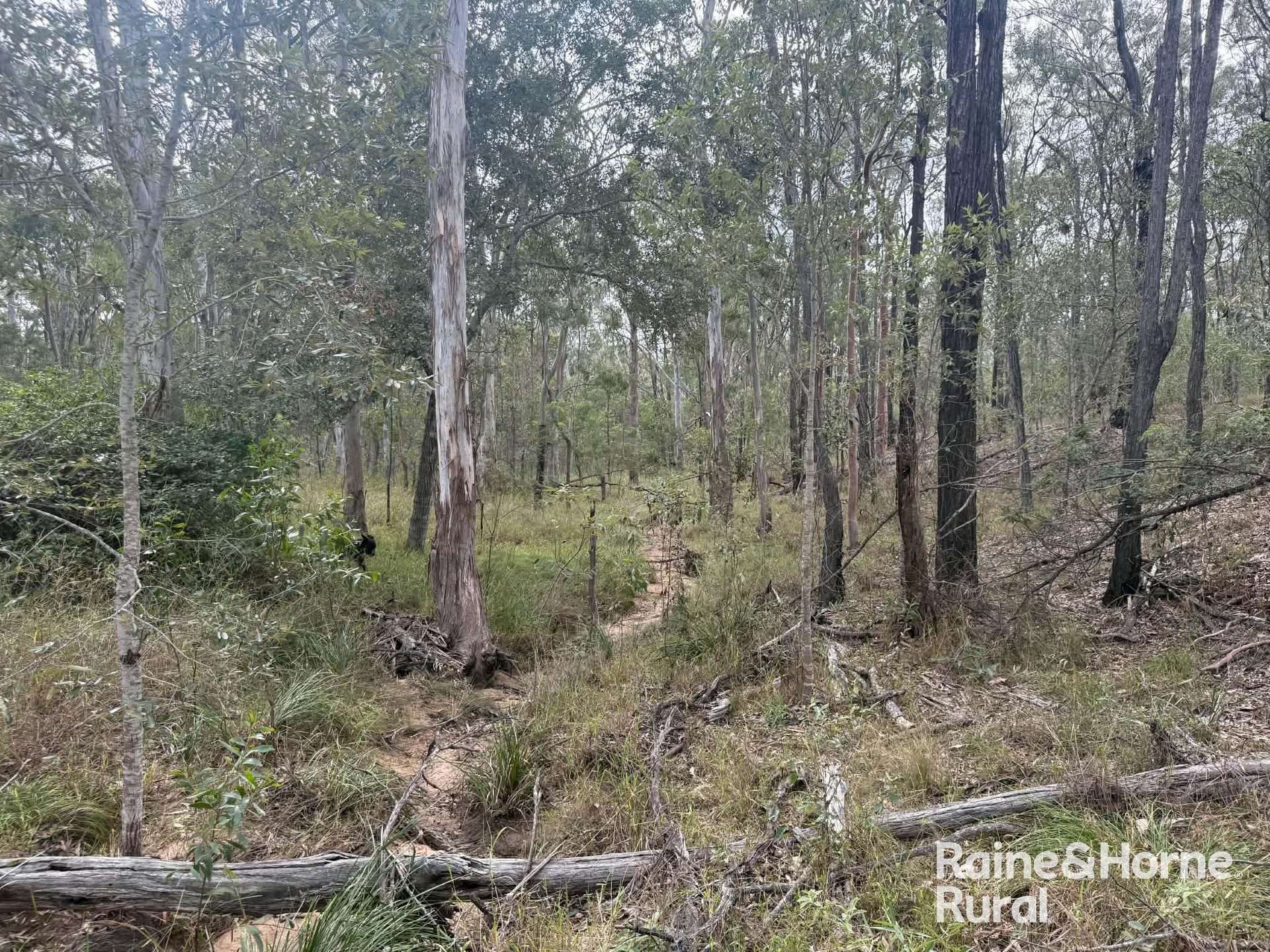 Lot 12 Curlew Rd, Ballogie For Sale by Farmbuy.com - image 7
