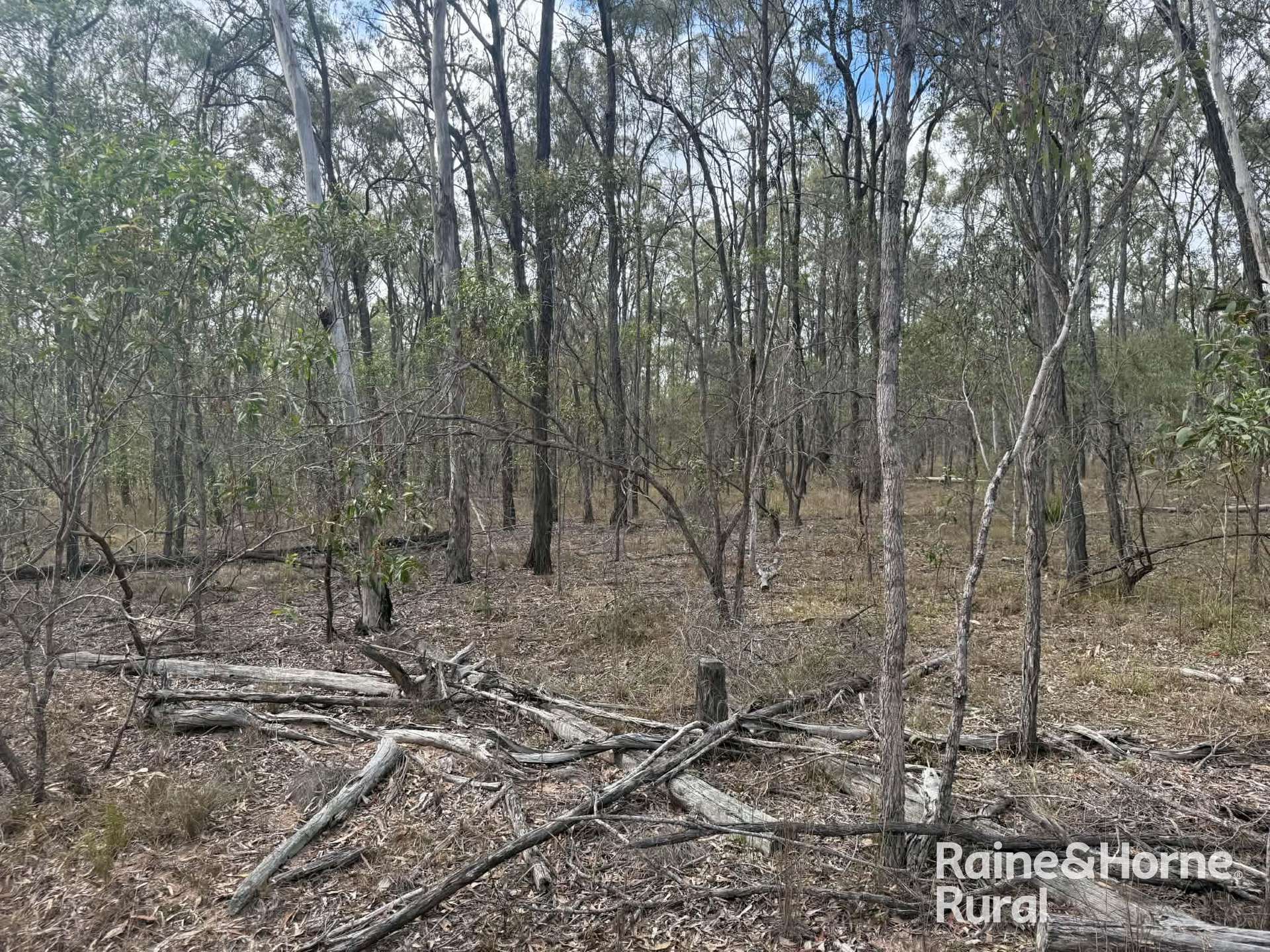 Lot 12 Curlew Rd, Ballogie For Sale by Farmbuy.com - image 12
