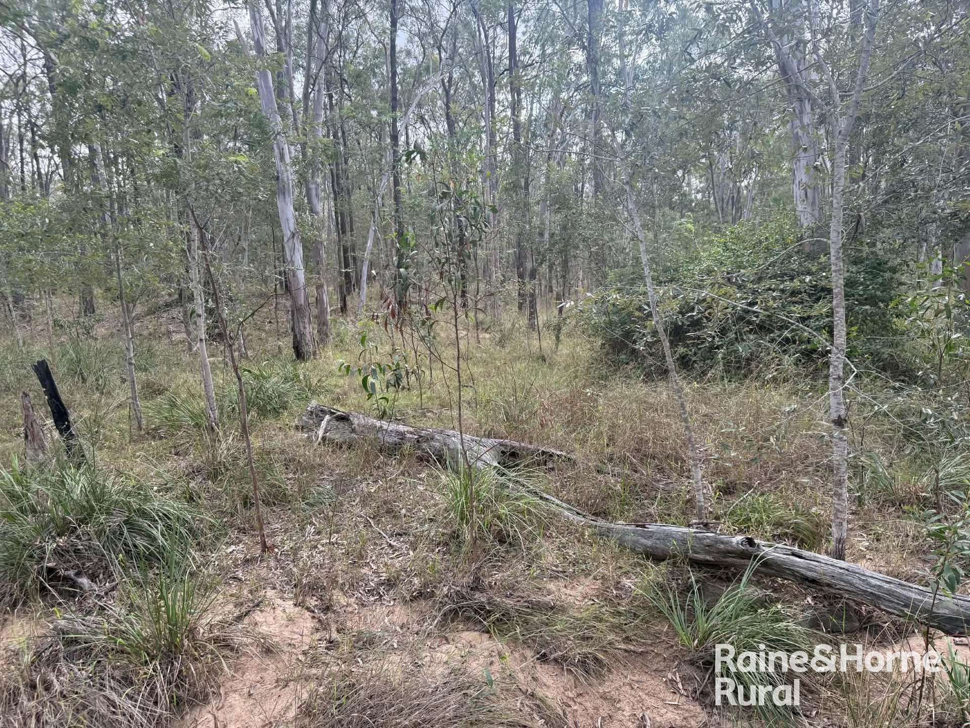 Lot 12 Curlew Rd, Ballogie For Sale by Farmbuy.com - image 5