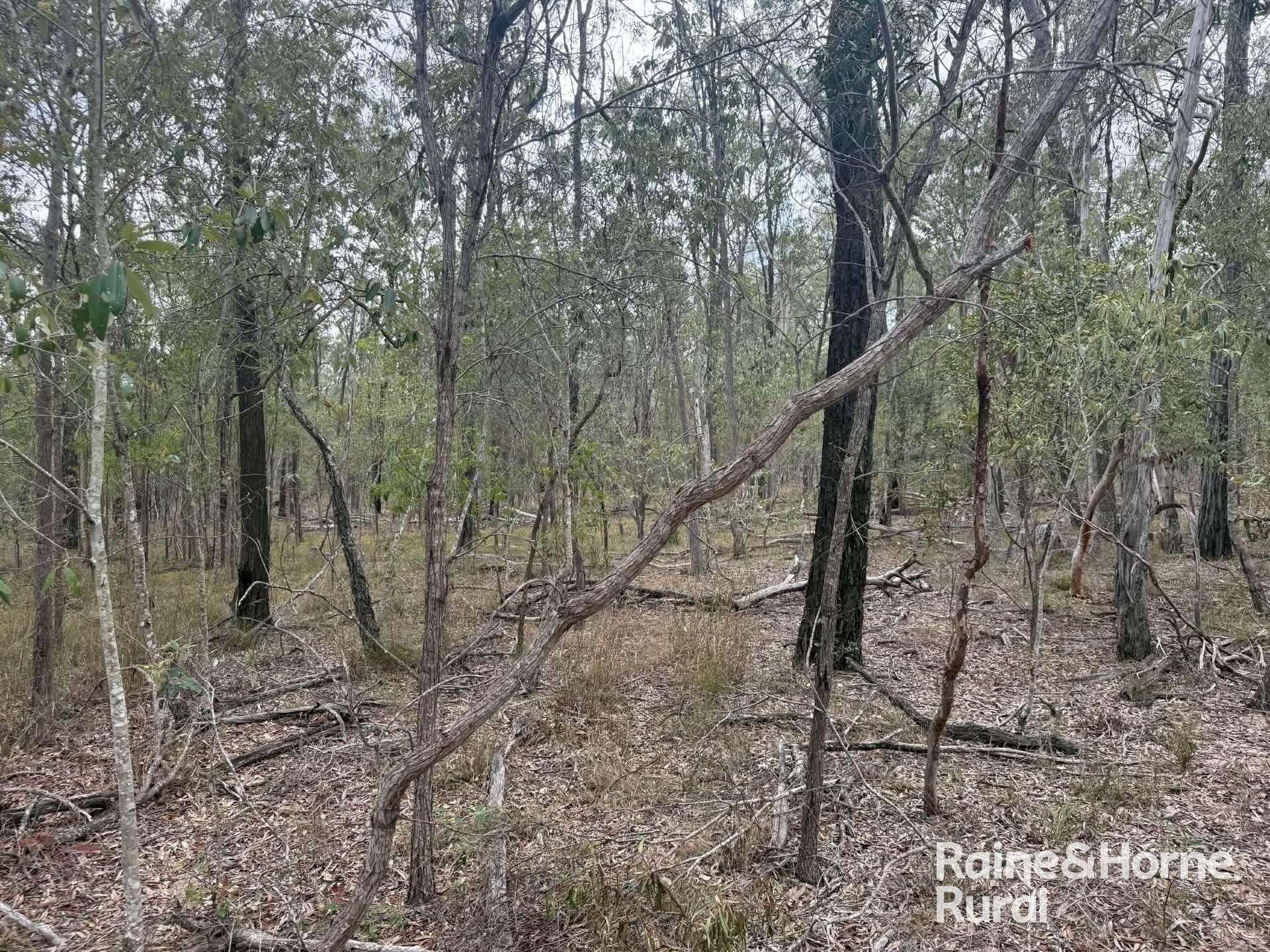 Lot 12 Curlew Rd, Ballogie For Sale by Farmbuy.com - image 9