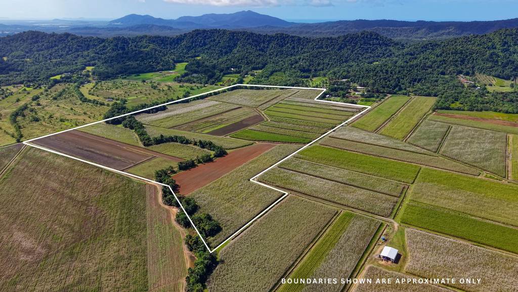 Lot 4 East Feluga Road, East Feluga QLD 4854