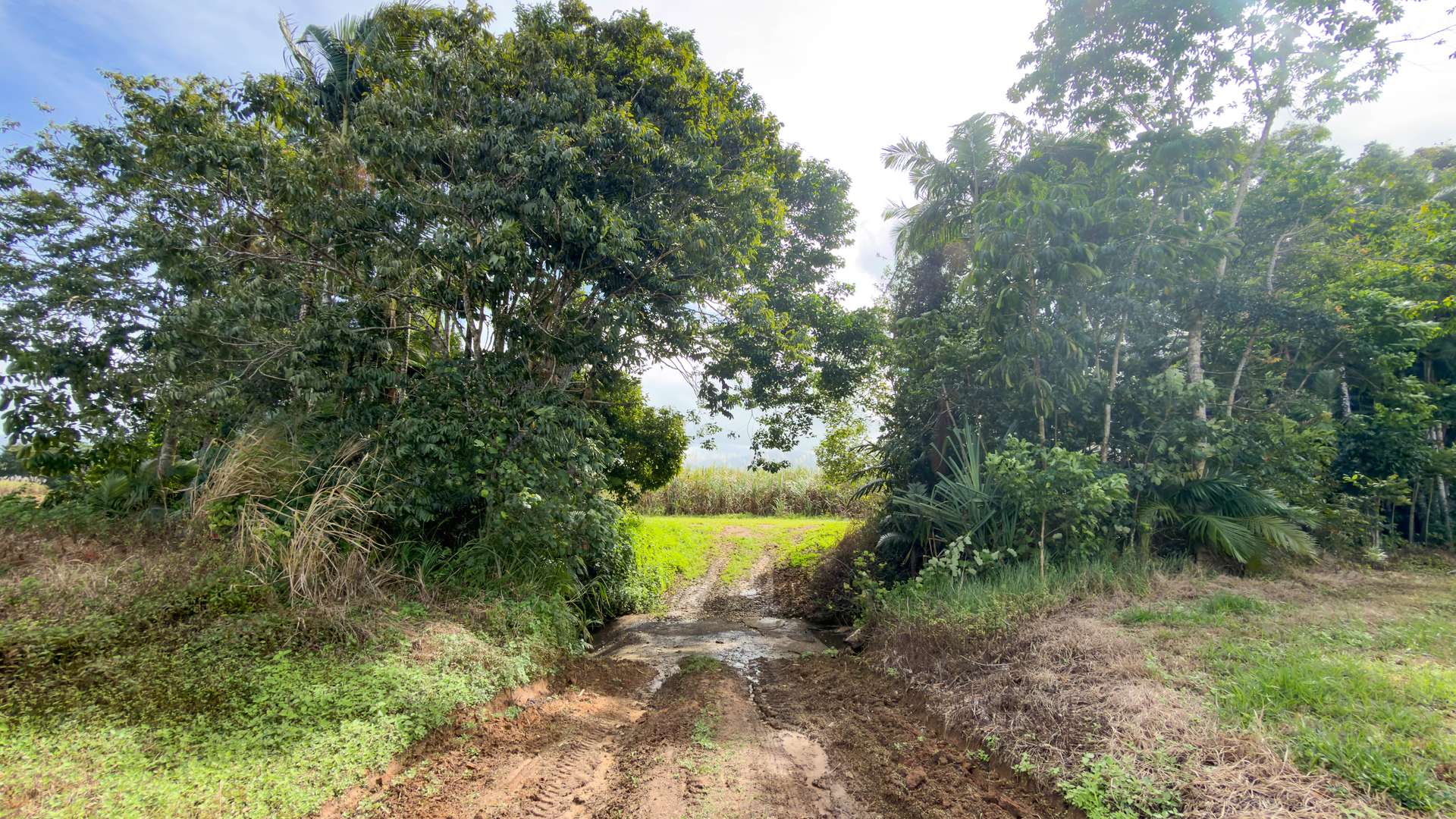 Lot 4 East Feluga Road, East Feluga For Sale by Farmbuy.com - image 15