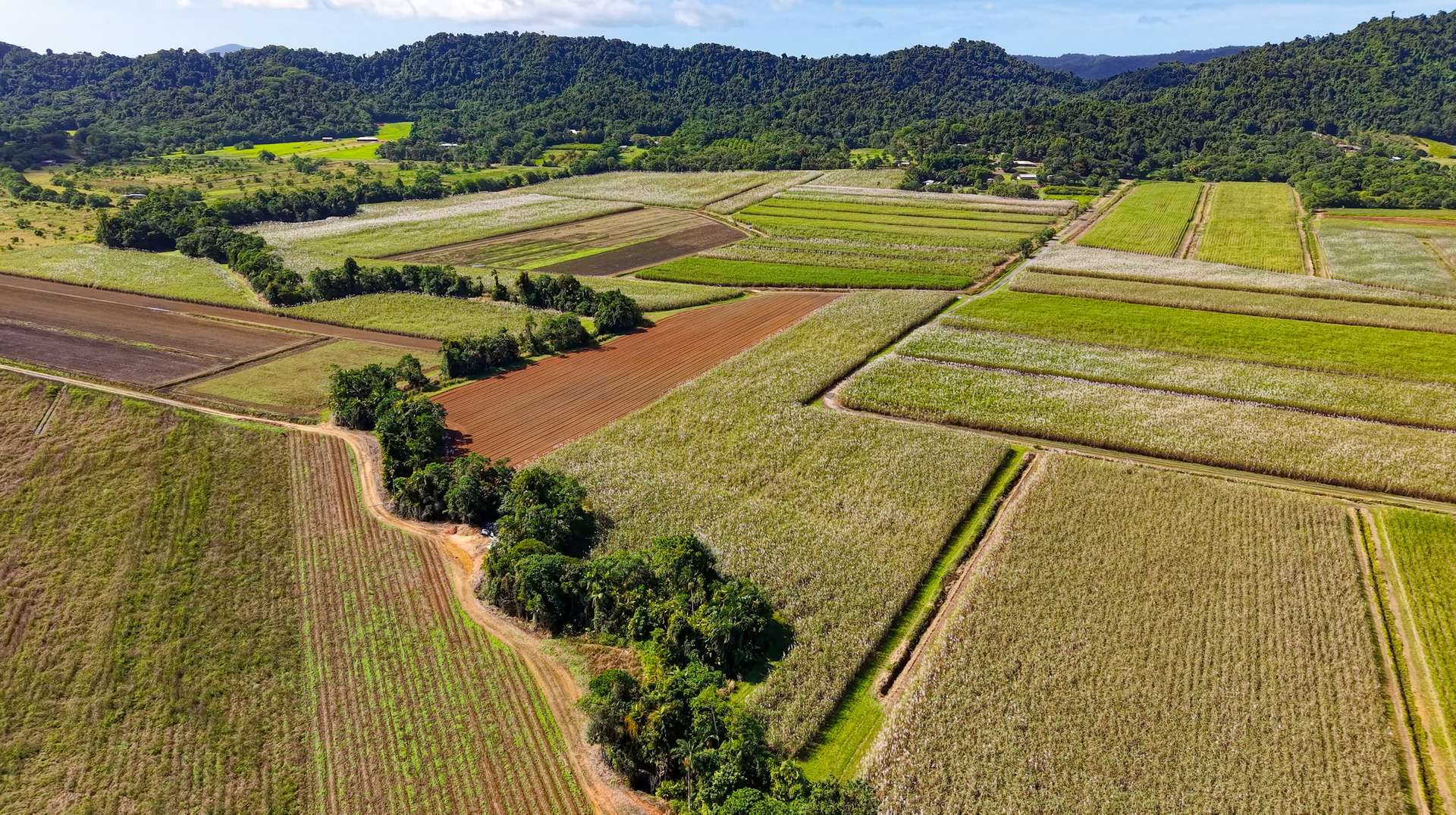 Lot 4 East Feluga Road, East Feluga For Sale by Farmbuy.com - image 11