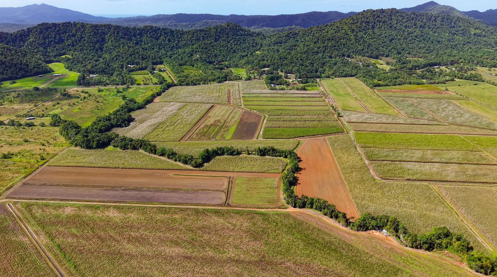 Lot 4 East Feluga Road, East Feluga For Sale by Farmbuy.com - image 8