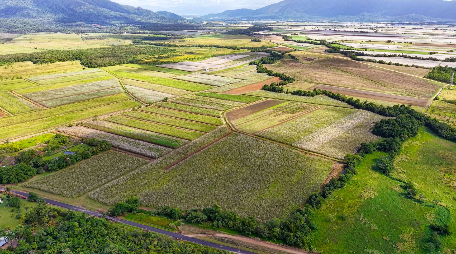 Lot 4 East Feluga Road, East Feluga For Sale by Farmbuy.com - image 10