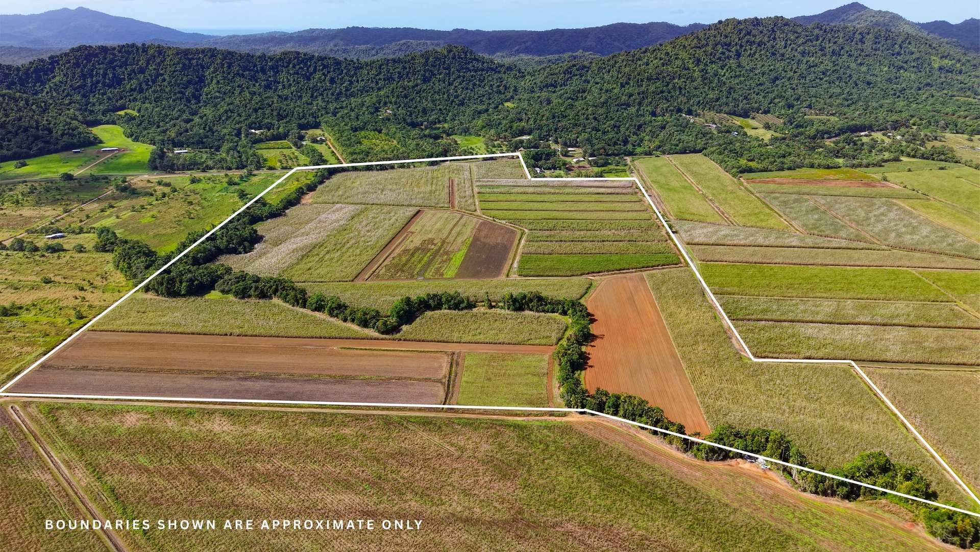 Lot 4 East Feluga Road, East Feluga For Sale by Farmbuy.com - image 4