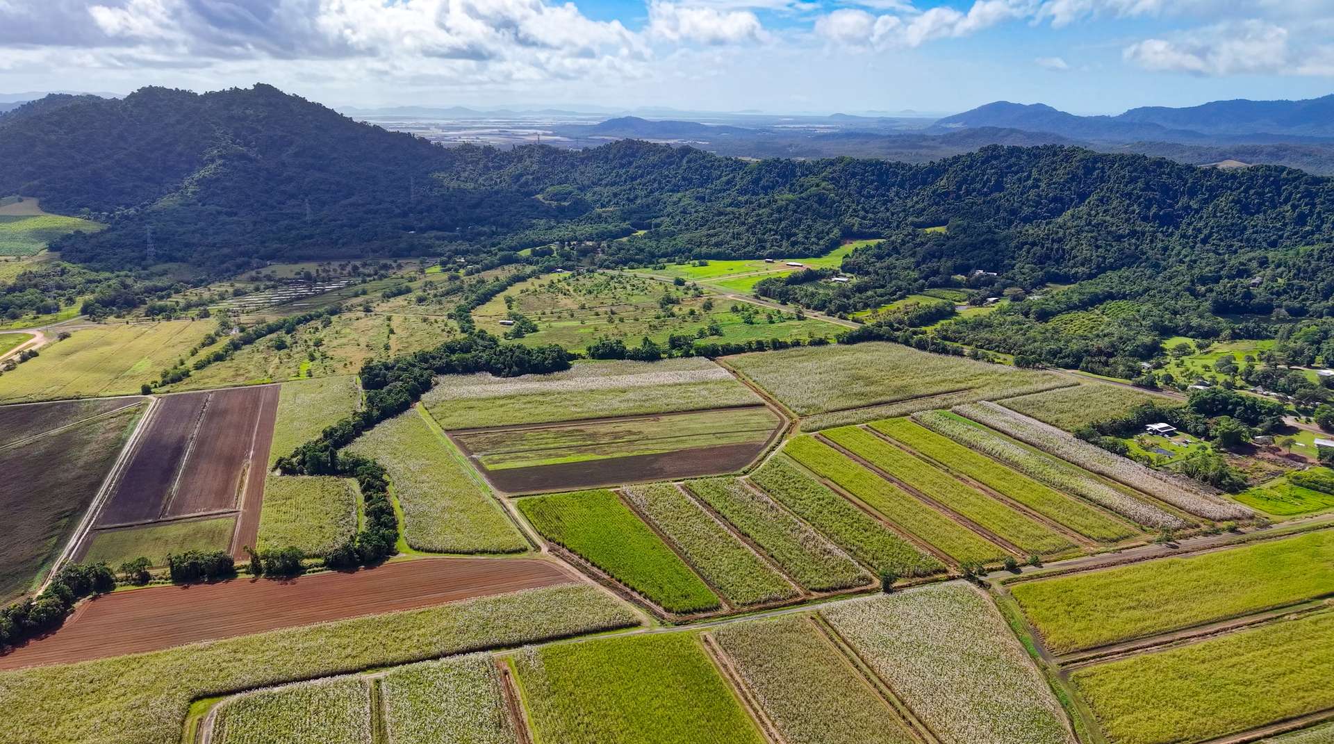 Lot 4 East Feluga Road, East Feluga For Sale by Farmbuy.com - image 9