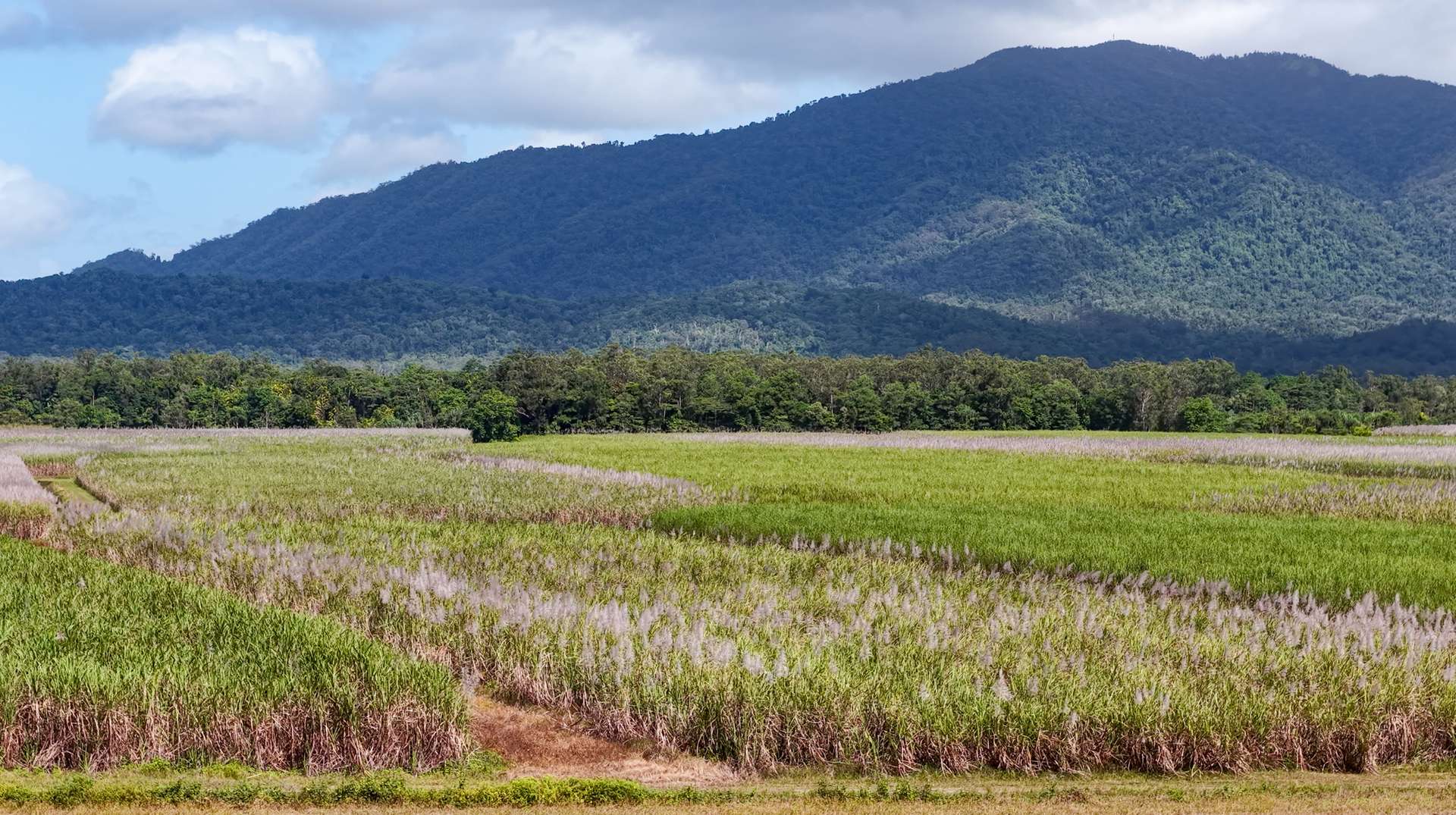 Lot 4 East Feluga Road, East Feluga For Sale by Farmbuy.com - image 14