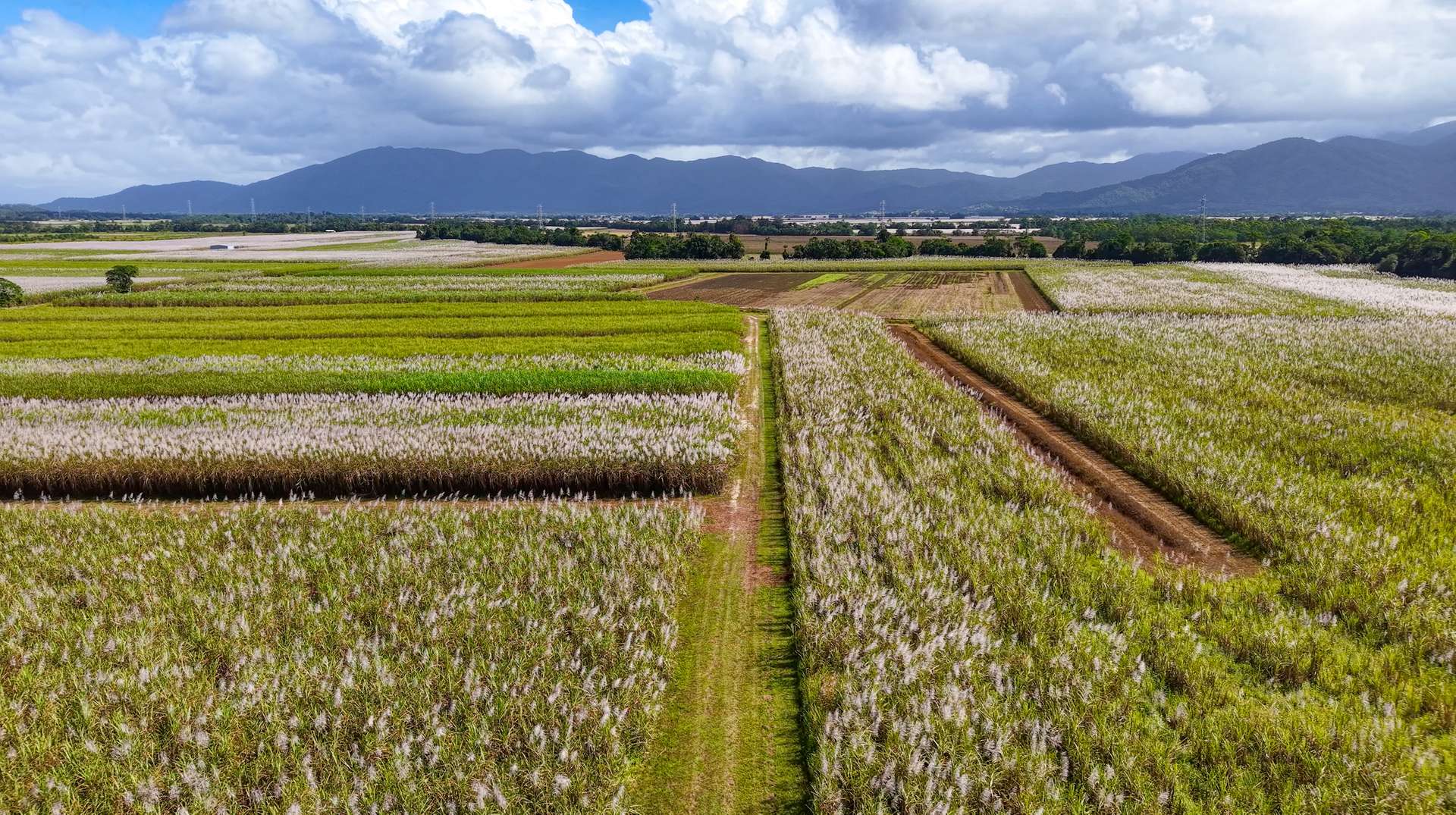 Lot 4 East Feluga Road, East Feluga For Sale by Farmbuy.com - image 12