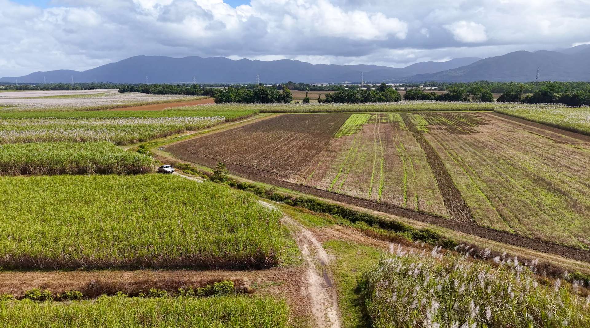 Lot 4 East Feluga Road, East Feluga For Sale by Farmbuy.com - image 17