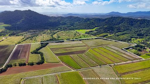 Lot 4 East Feluga Road, East Feluga QLD 4854