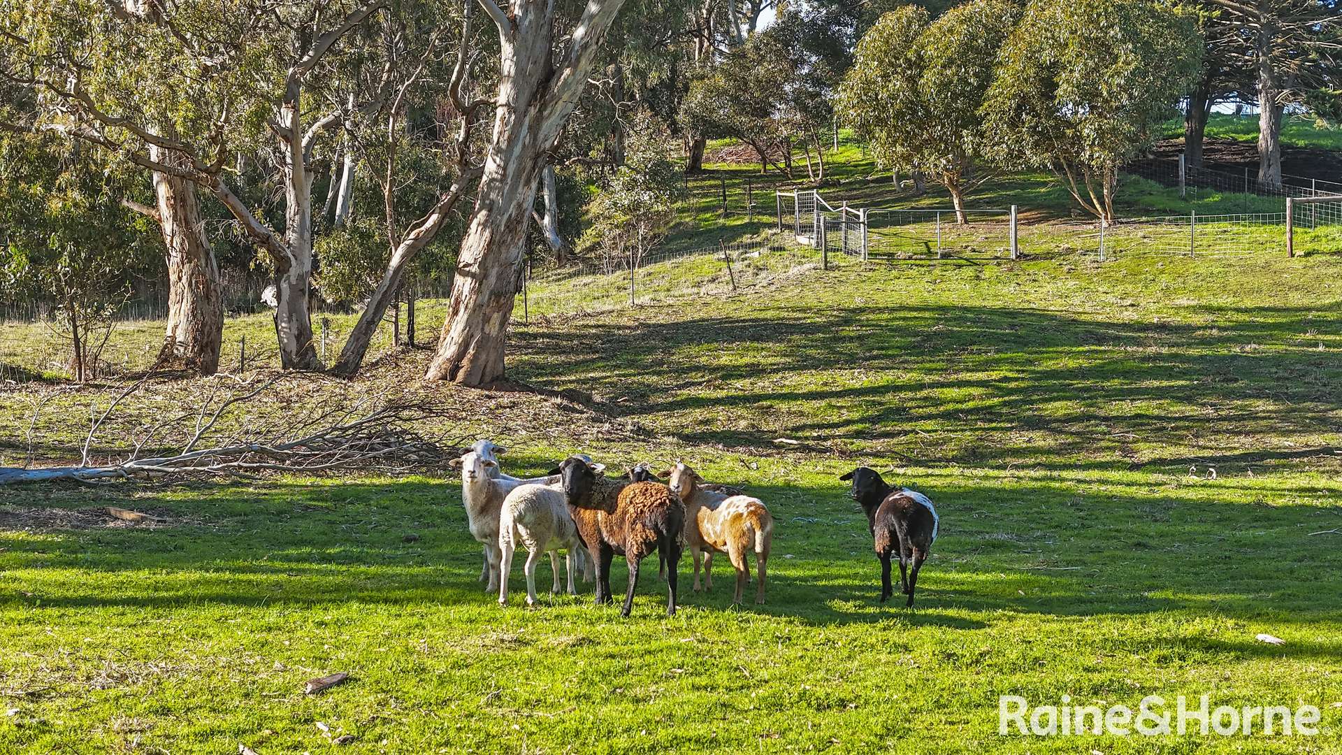 358 Harrogate Road, Brukunga For Sale by Farmbuy.com - image 16