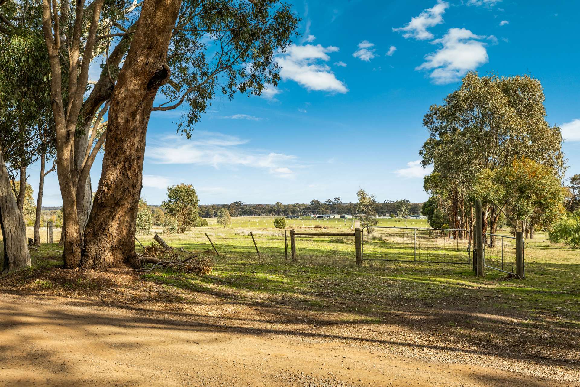CA 44R Golf Links Lane, Heathcote For Sale by Farmbuy.com - image 2