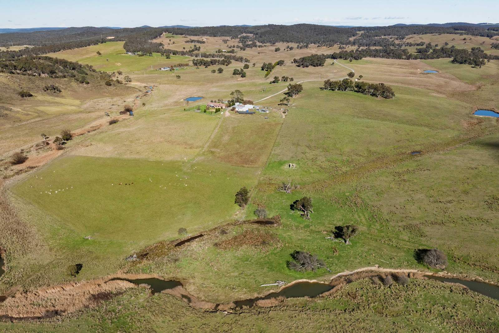 2696 Middle Arm Road, Roslyn For Sale by Farmbuy.com - image 21
