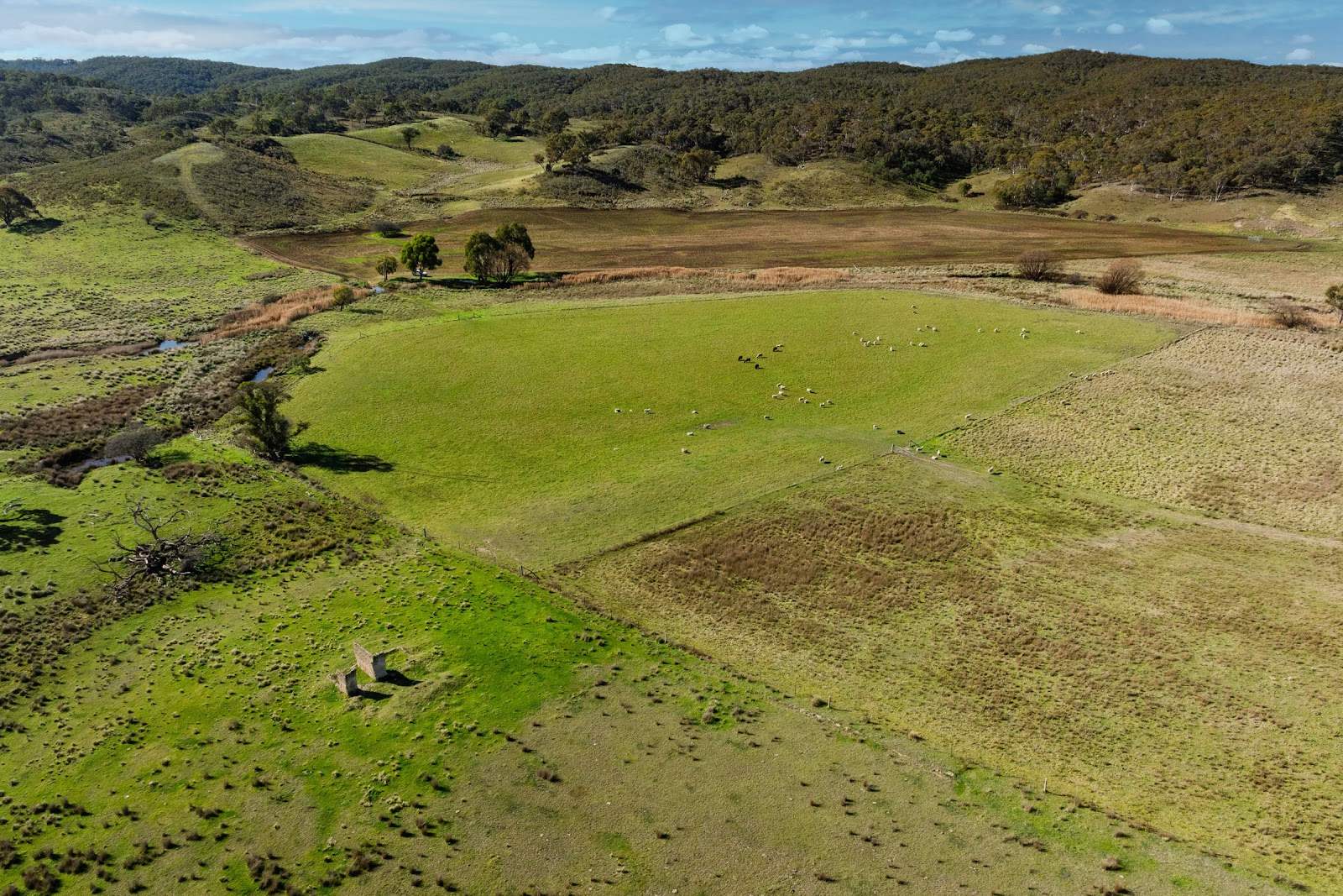 2696 Middle Arm Road, Roslyn For Sale by Farmbuy.com - image 27