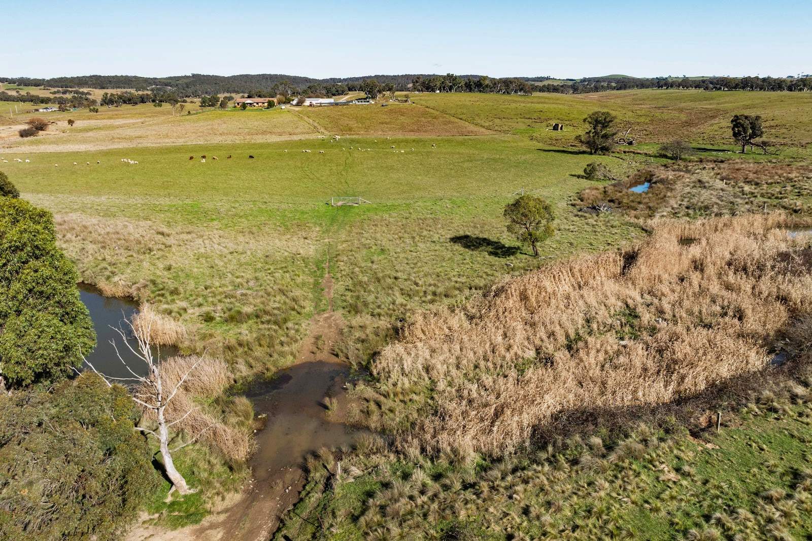 2696 Middle Arm Road, Roslyn For Sale by Farmbuy.com - image 32
