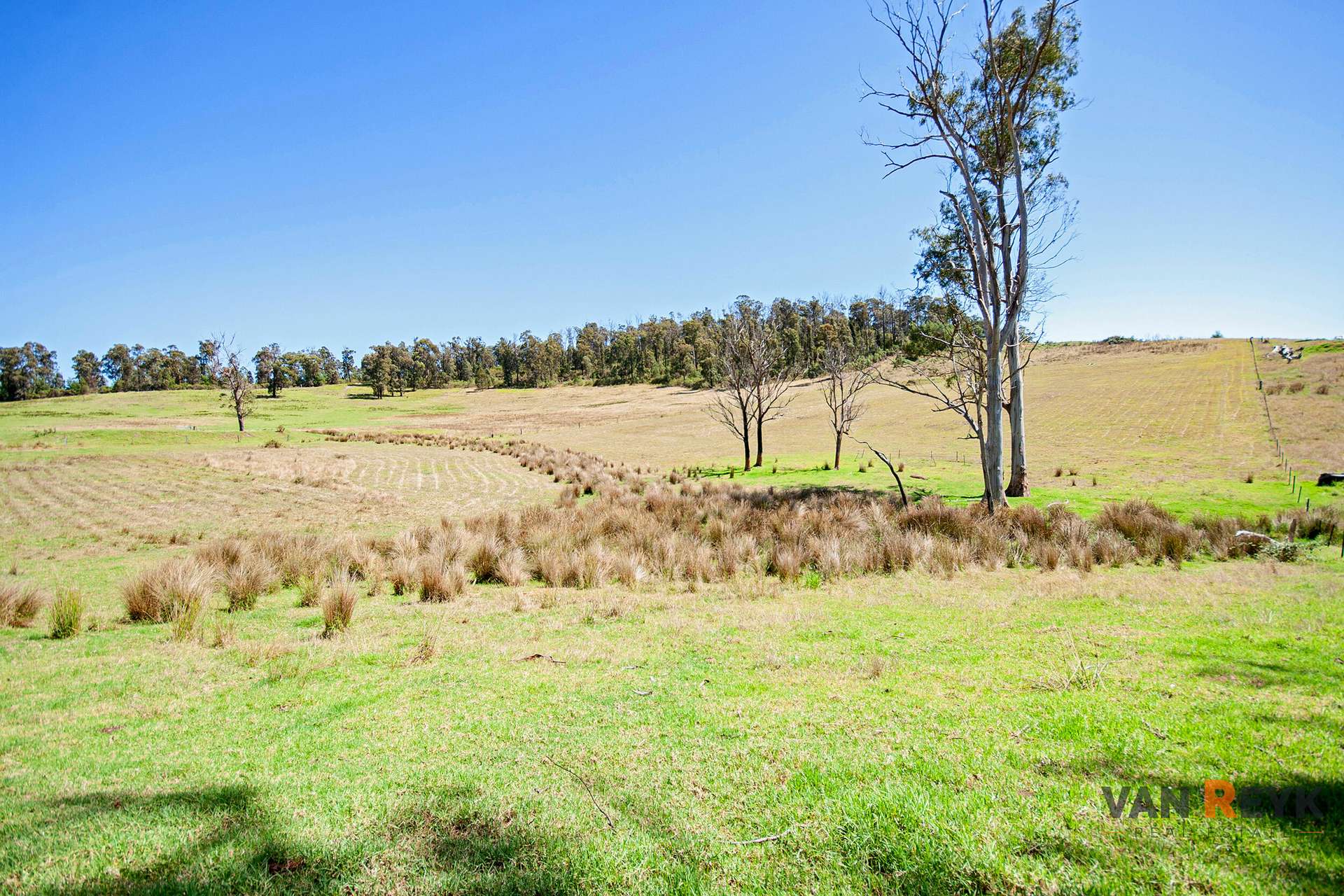 35 Blair Road, Wiseleigh For Sale by Farmbuy.com - image 6