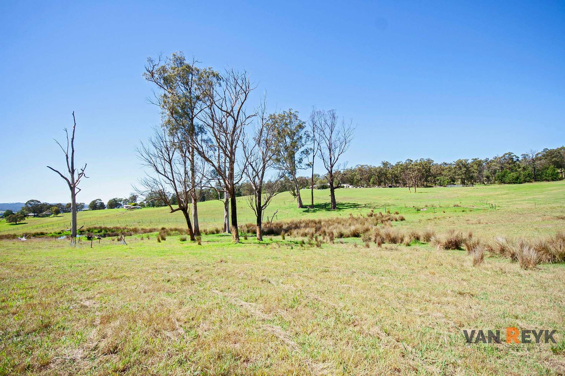 35 Blair Road, Wiseleigh For Sale by Farmbuy.com - image 7