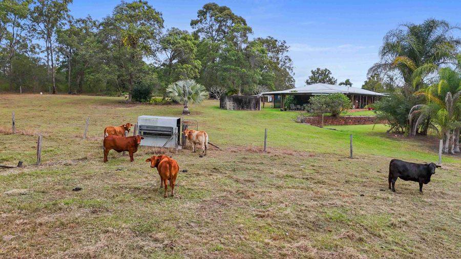 795 Mungar Road, Grahams Creek For Sale by Farmbuy.com - image 19