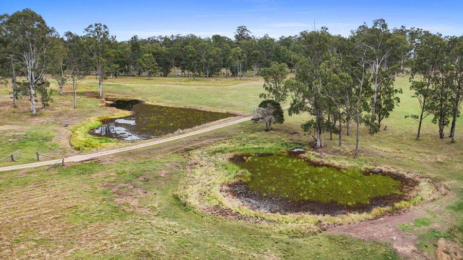 795 Mungar Road, Grahams Creek For Sale by Farmbuy.com - image 23