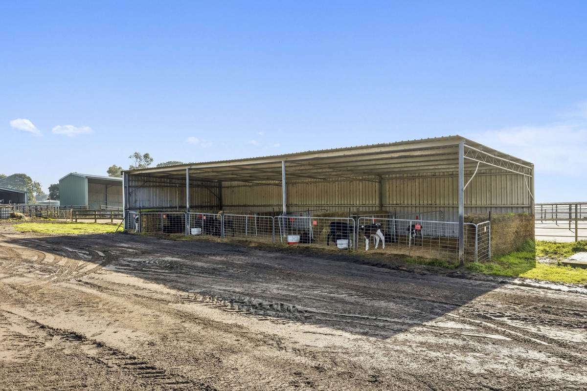 999 Centre Road, Cooriemungle For Sale by Farmbuy.com - image 6