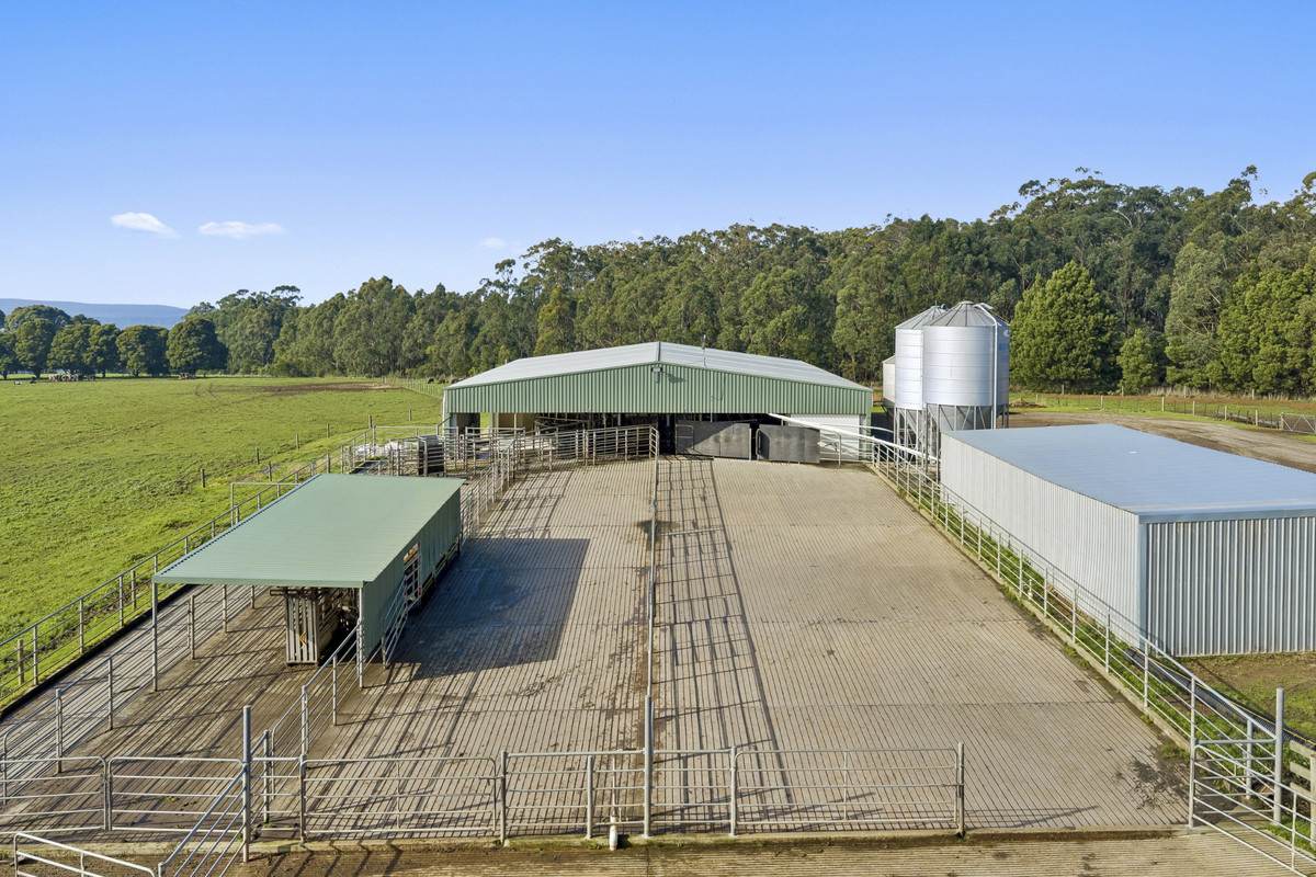 999 Centre Road, Cooriemungle For Sale by Farmbuy.com - image 3