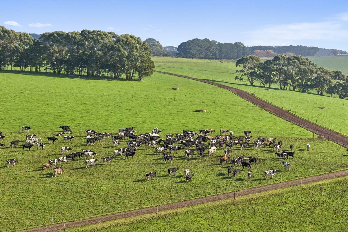 999 Centre Road, Cooriemungle For Sale by Farmbuy.com - image 20