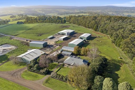 Farm For Sale - VIC - Cooriemungle - 3268 - OUTSTANDING HEYTESBURY DISTRICT HOLDING 