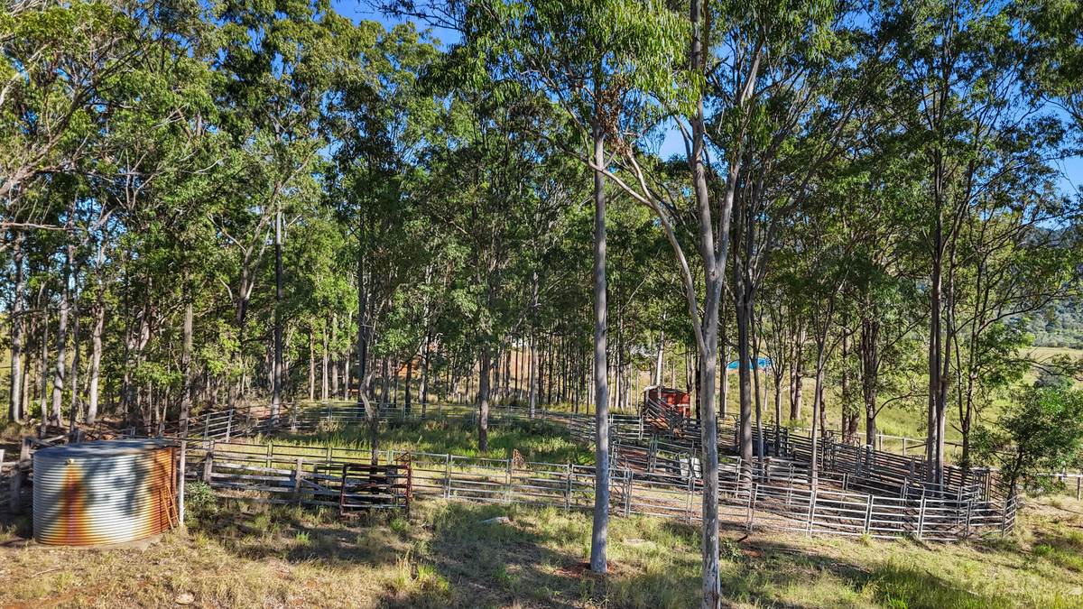 238 Bauple Drive, Bauple For Sale by Farmbuy.com - image 31