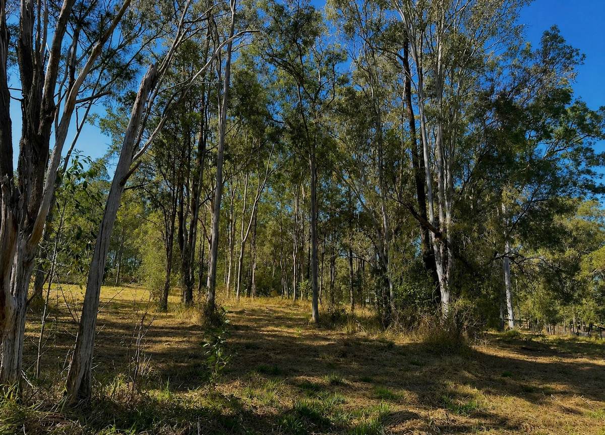 Lot 179,  Astra Road, Glenwood For Sale by Farmbuy.com - image 3