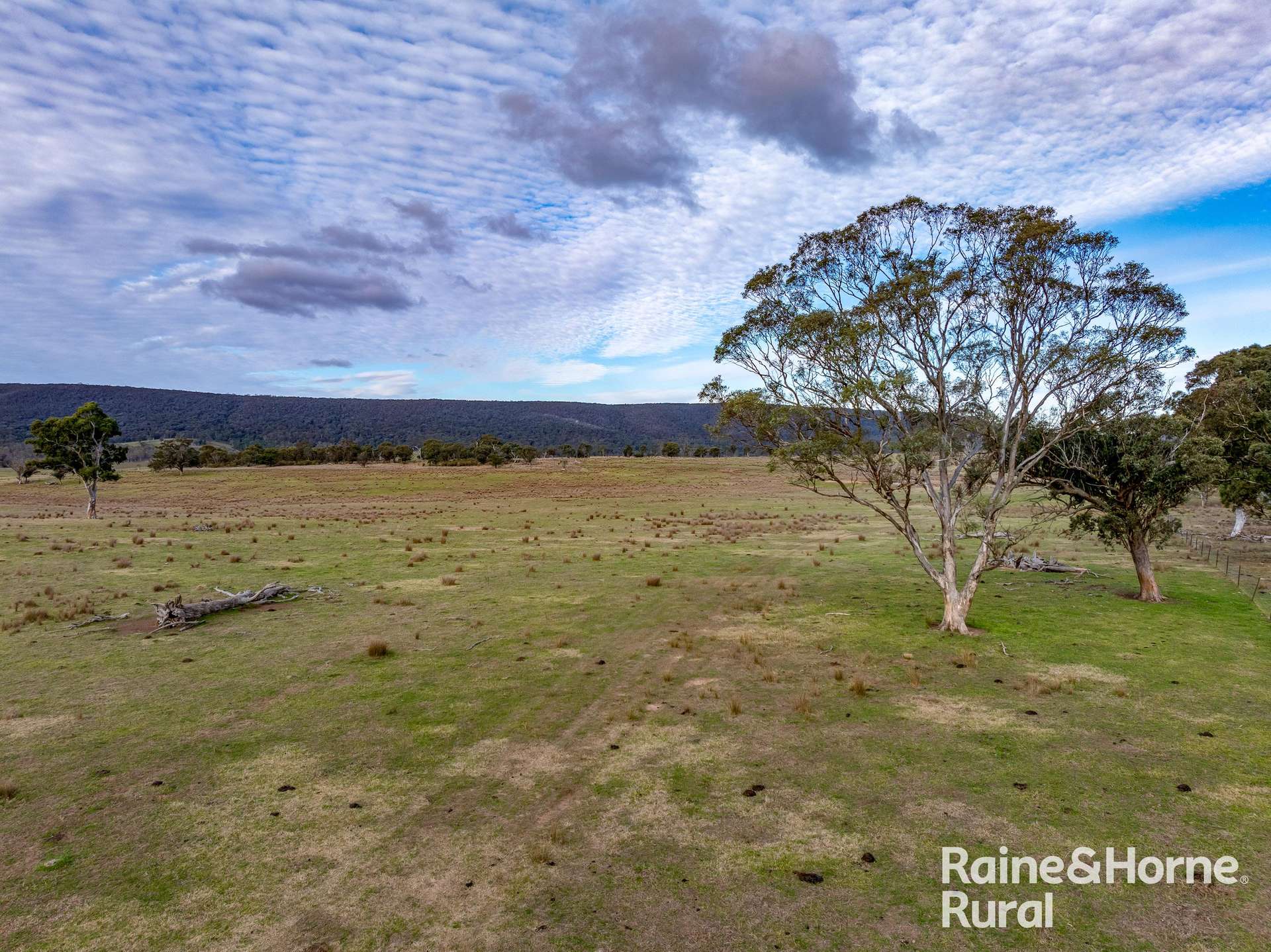 318 Holloways Road, Tarlo Auction by Farmbuy.com - image 28