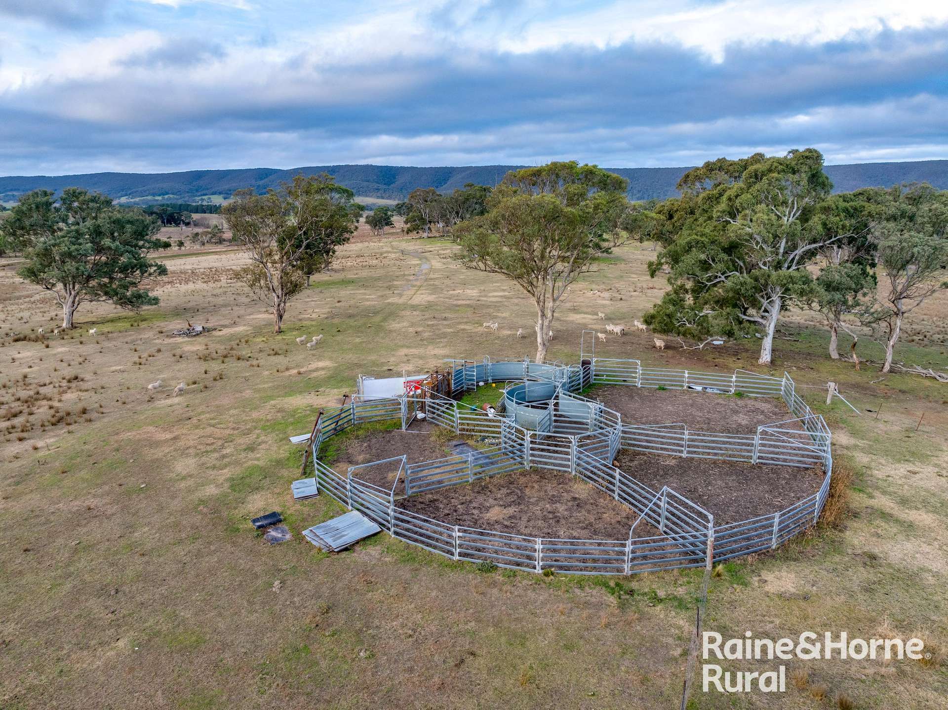 318 Holloways Road, Tarlo Auction by Farmbuy.com - image 3