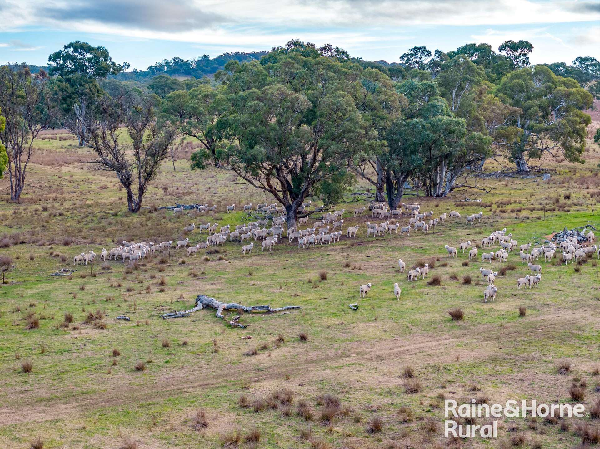 318 Holloways Road, Tarlo Auction by Farmbuy.com - image 15