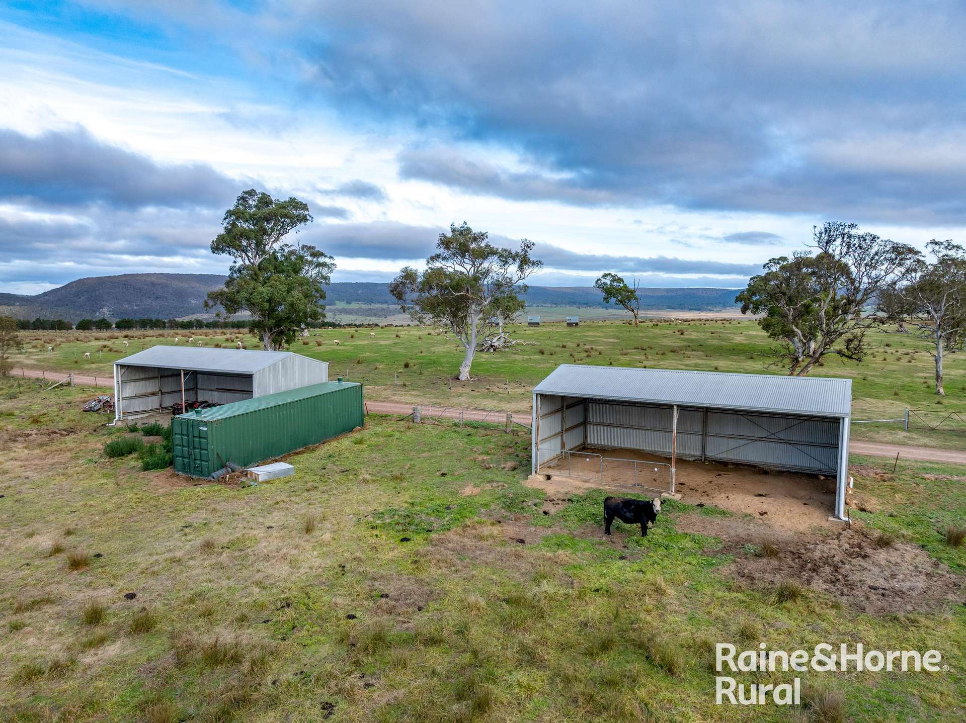 318 Holloways Road, Tarlo Auction by Farmbuy.com - image 10