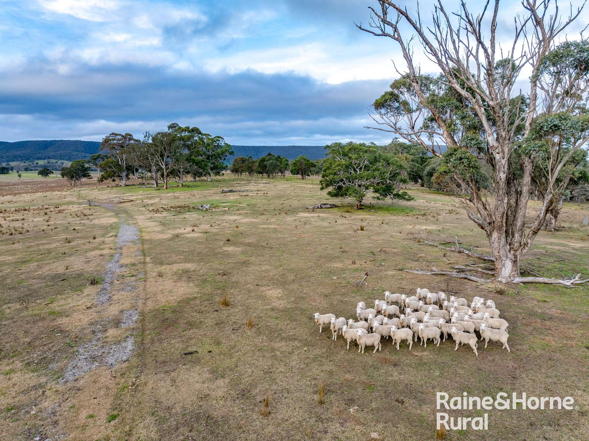 318 Holloways Road, Tarlo Auction by Farmbuy.com - image 9