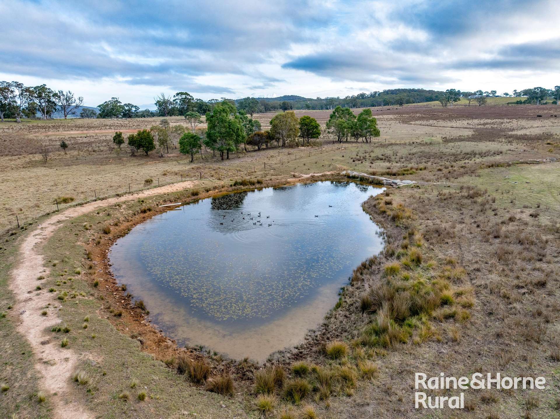318 Holloways Road, Tarlo Auction by Farmbuy.com - image 17
