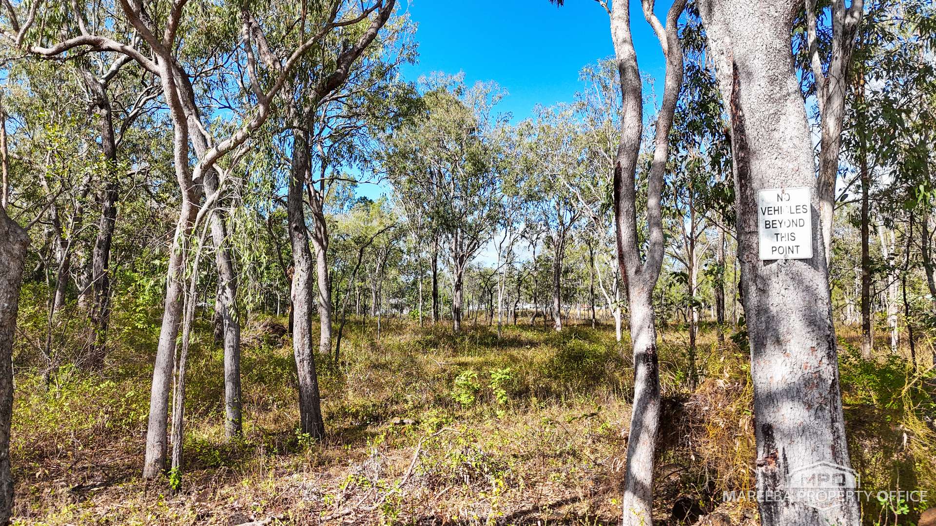 5 Brodziac Close, Mareeba Tender by Farmbuy.com - image 6