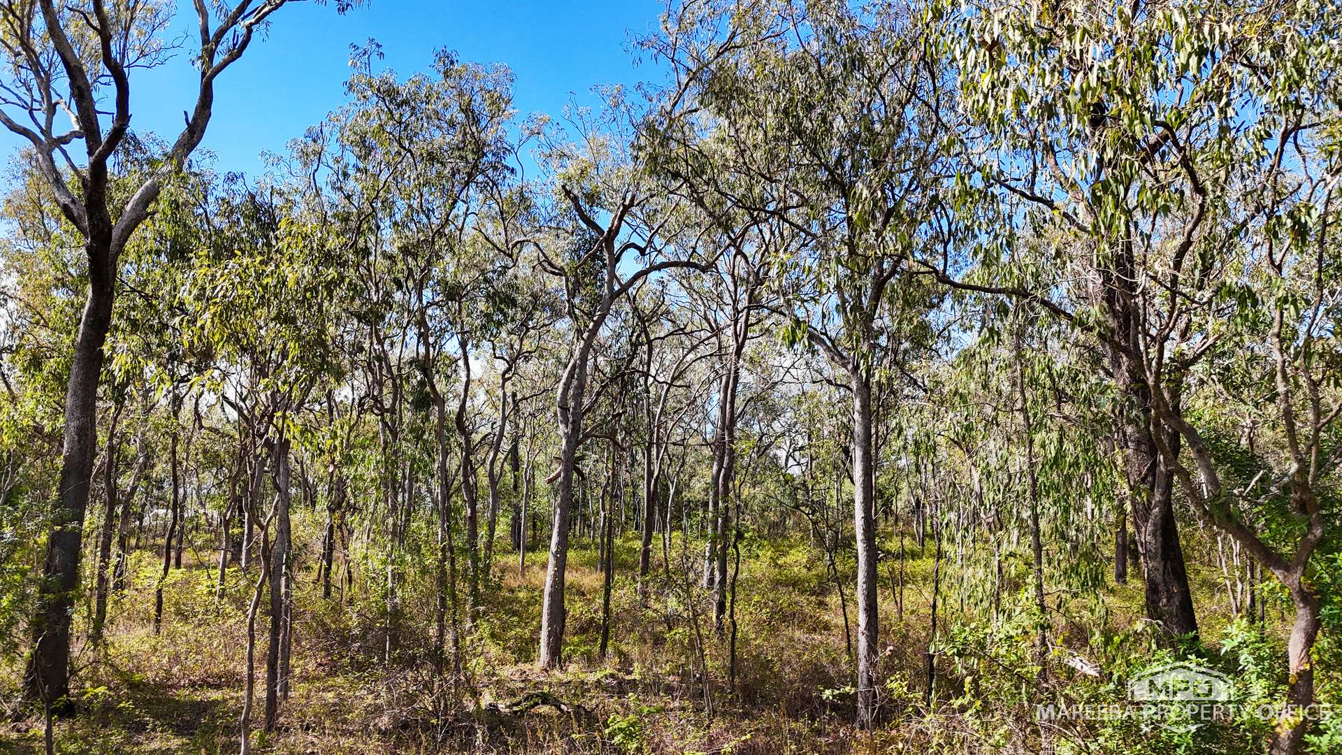 5 Brodziac Close, Mareeba Tender by Farmbuy.com - image 7