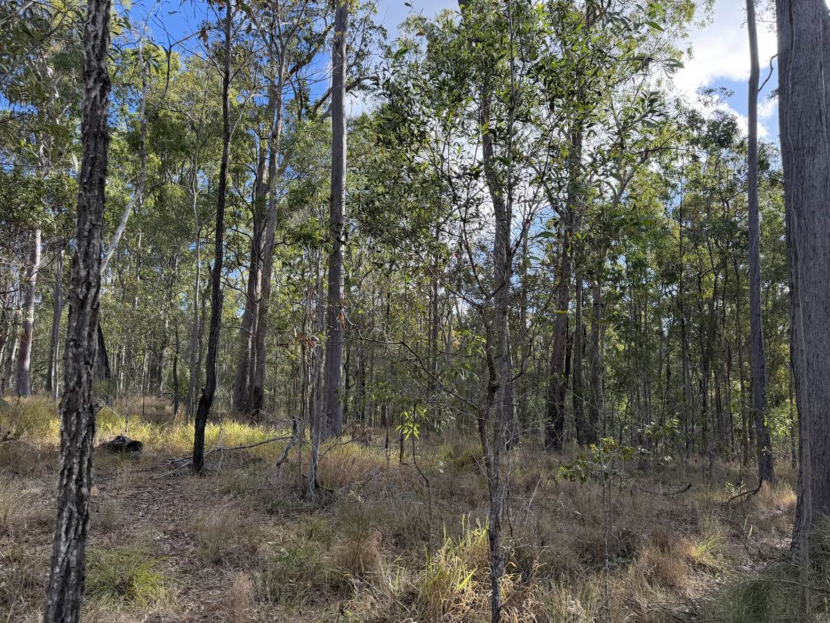 Lot 753 Arbortwentyeight Road, Glenwood For Sale by Farmbuy.com - image 4