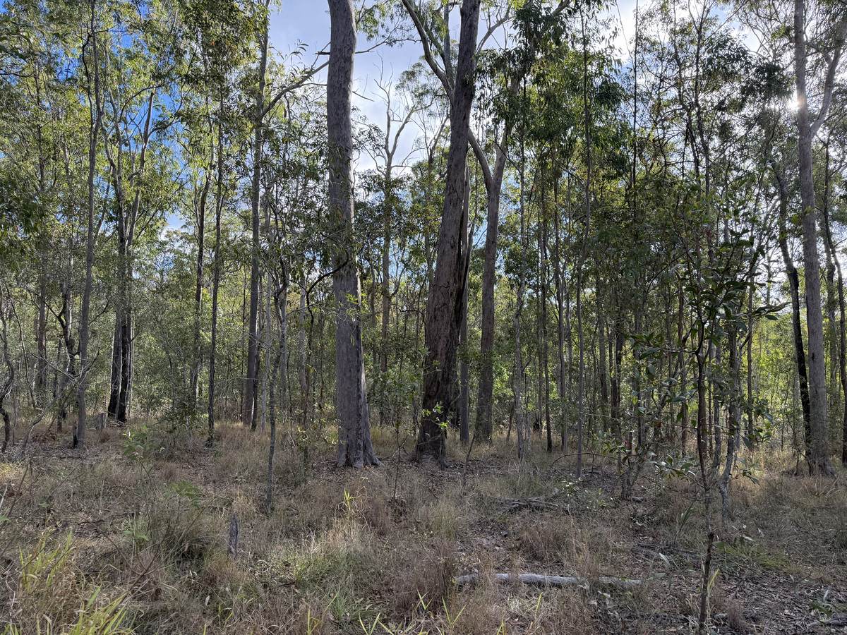 Lot 753 Arbortwentyeight Road, Glenwood For Sale by Farmbuy.com - image 5