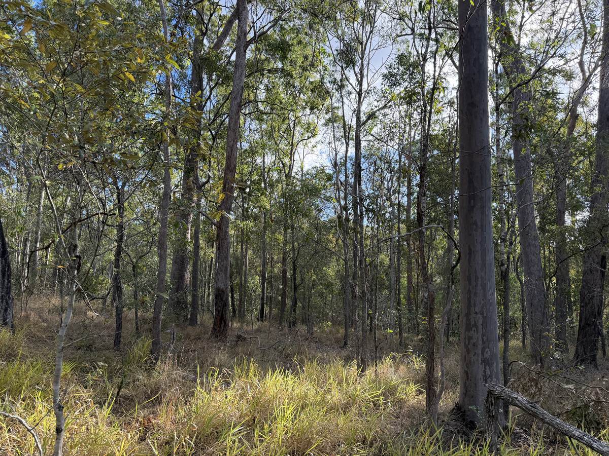 Lot 753 Arbortwentyeight Road, Glenwood For Sale by Farmbuy.com - image 6