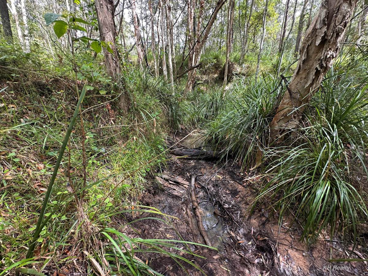 Lot 753 Arbortwentyeight Road, Glenwood For Sale by Farmbuy.com - image 11